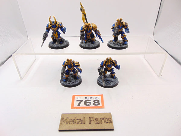 Chaos Terminators