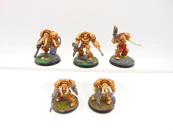 Chaos Terminators