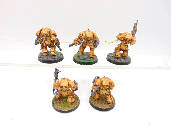 Chaos Terminators