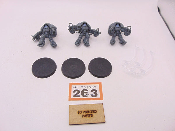Inceptors