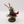 Ahriman on Disc of Tzeentch
