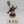 Imotekh the Stormlord