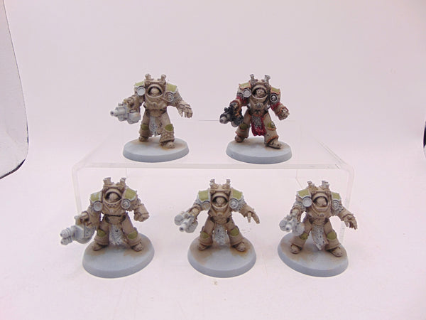 Grave Warden Terminators