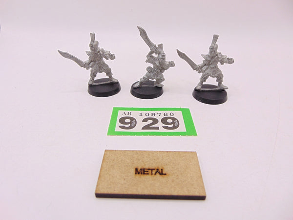 Dark Elf Warriors