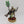 Imotekh the Stormlord