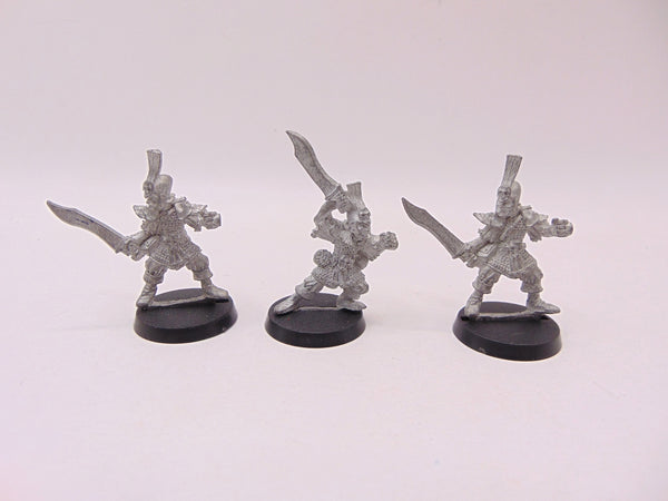 Dark Elf Warriors