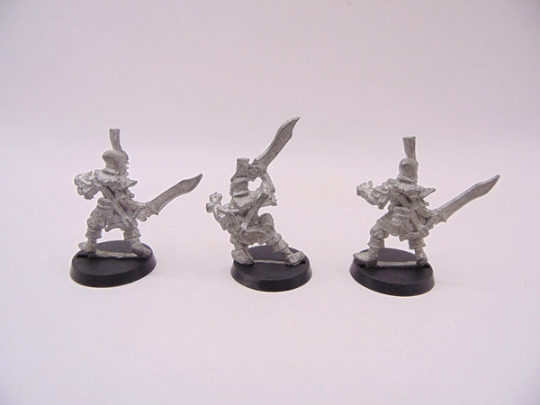 Dark Elf Warriors
