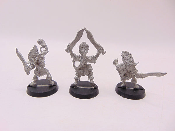 Dark Elf Regiment -  Champion, Musician & Warrior