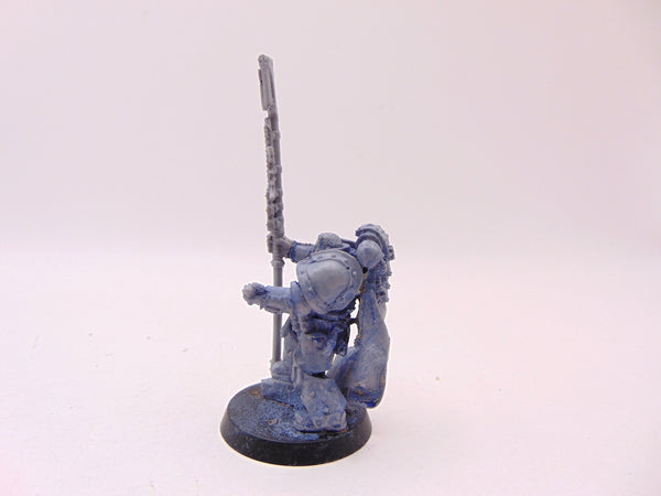Remus Ventanus - The Saviour of Calth