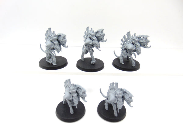 Barbgaunts
