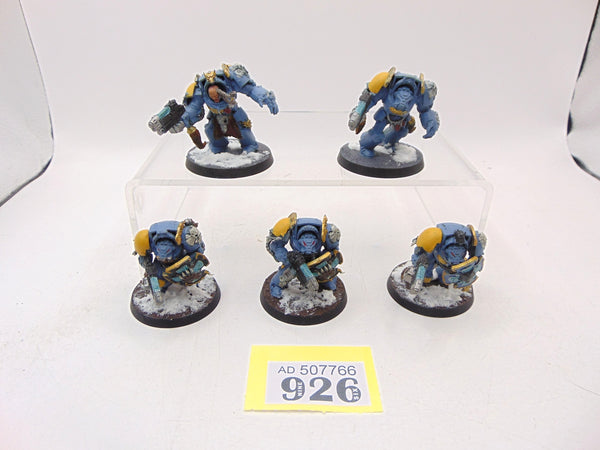 Wolf Guard Terminators