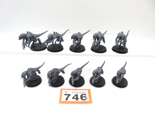 Termagants