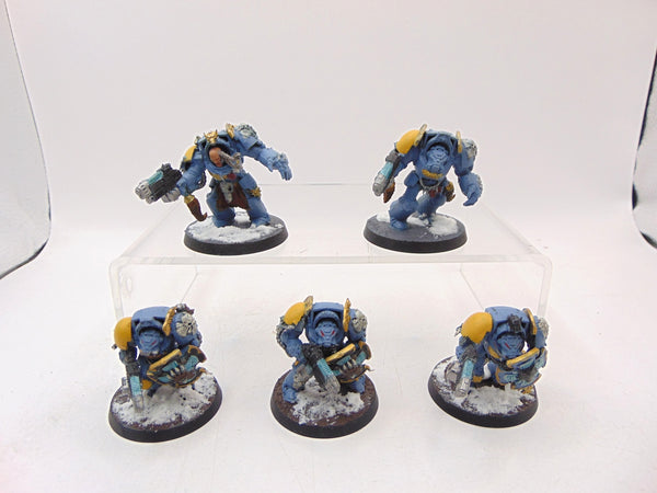 Wolf Guard Terminators