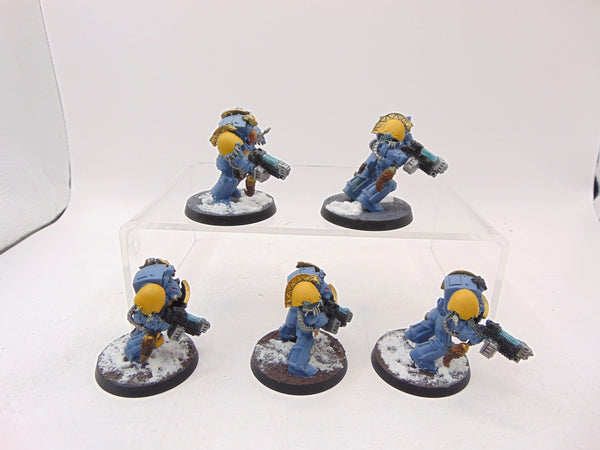 Wolf Guard Terminators