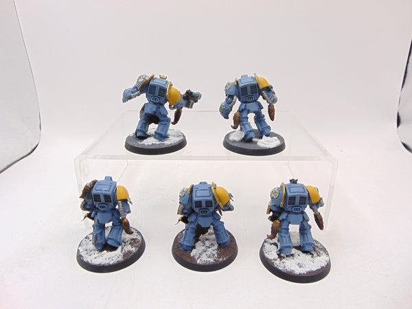 Wolf Guard Terminators