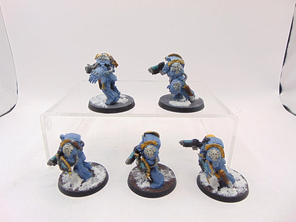Wolf Guard Terminators