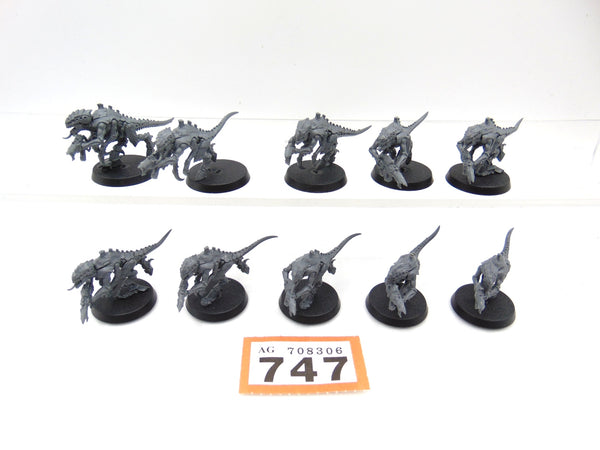 Termagants
