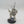 Cadian Voxcaster