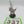 Cadian Voxcaster