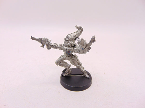Striking Scorpion Exarch