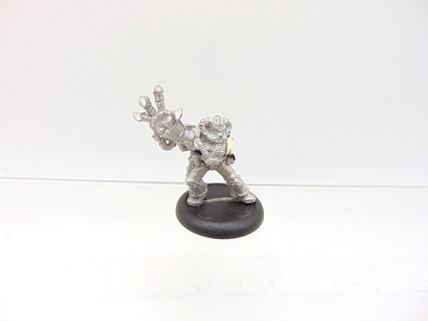 Chaos Champion
