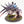Maleceptor