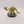 Chaos Spawn