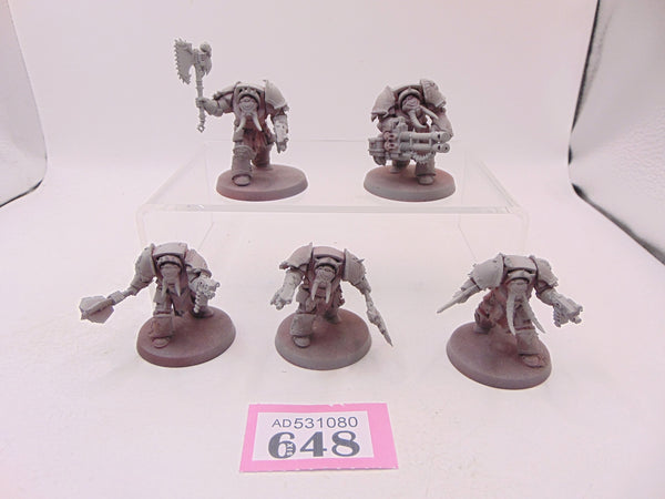 Chaos Terminators