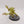 Chaos Spawn