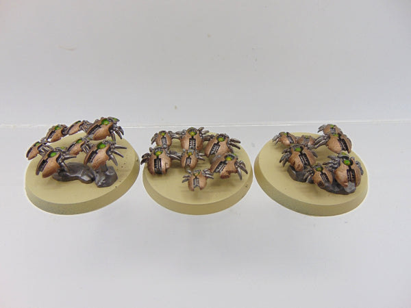 Canoptek Scarab Swarms