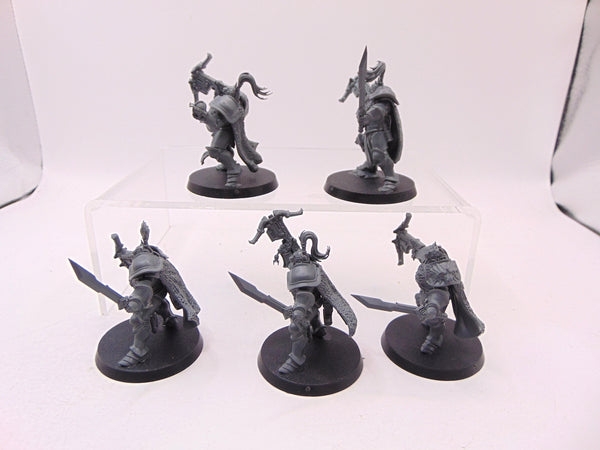 Vanguard Hunters