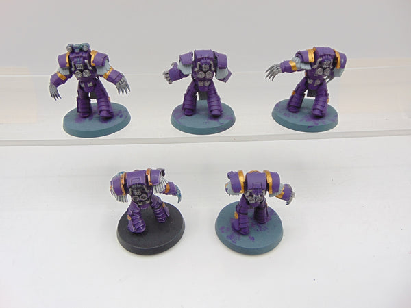 Cataphractii Terminator Squad