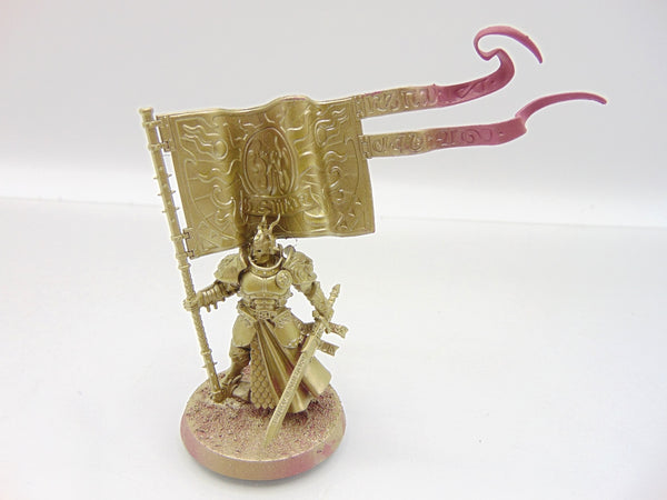 Knight Vexillor with Banner of Apotheosis