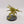 Chaos Spawn