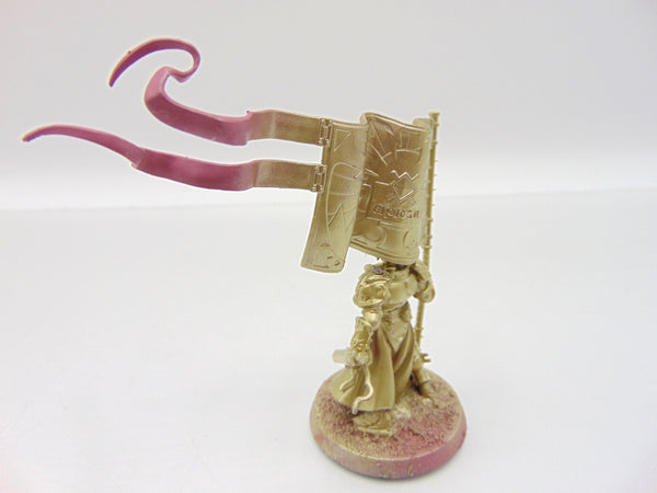 Knight Vexillor with Banner of Apotheosis
