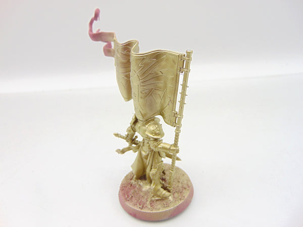 Knight Vexillor with Banner of Apotheosis