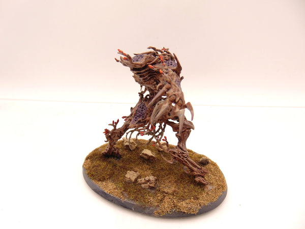Drycha Hamadreth