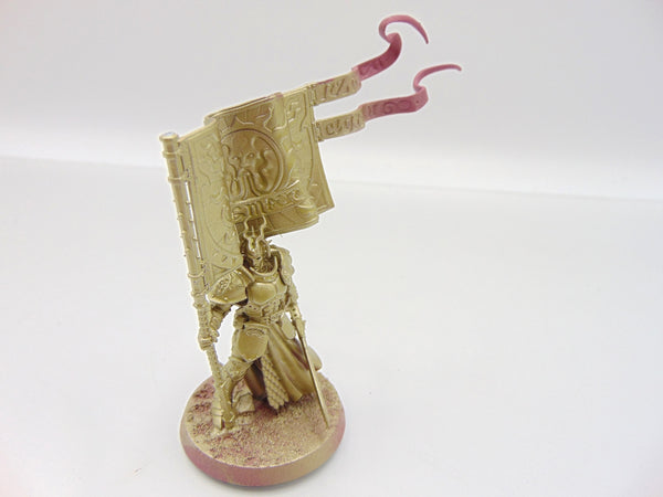Knight Vexillor with Banner of Apotheosis