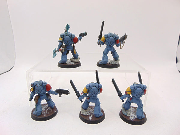 Grey Hunters