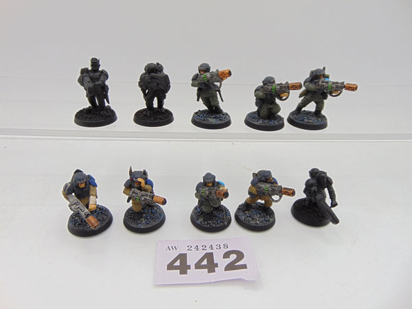 Cadian Veterans Squad