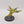 Chaos Spawn