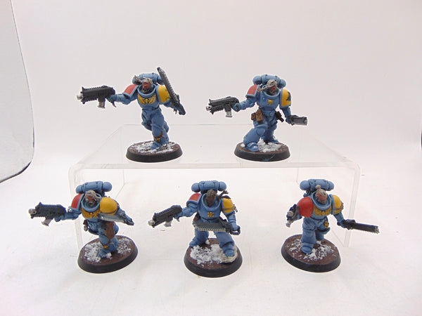 Grey Hunters
