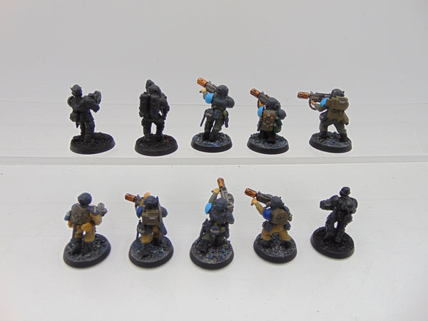 Cadian Veterans Squad