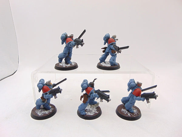 Grey Hunters