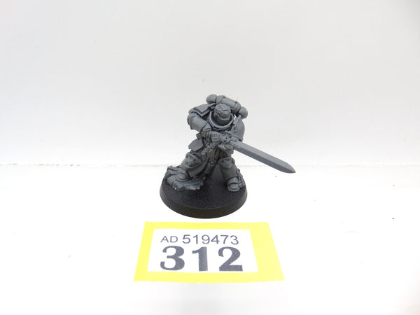 Primaris Company Champion