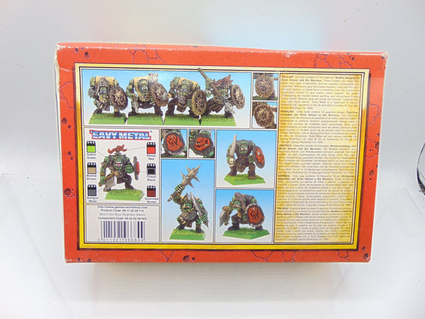 Orc Warriors Regiment - Empty Box