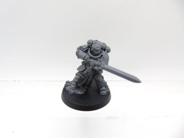 Primaris Company Champion