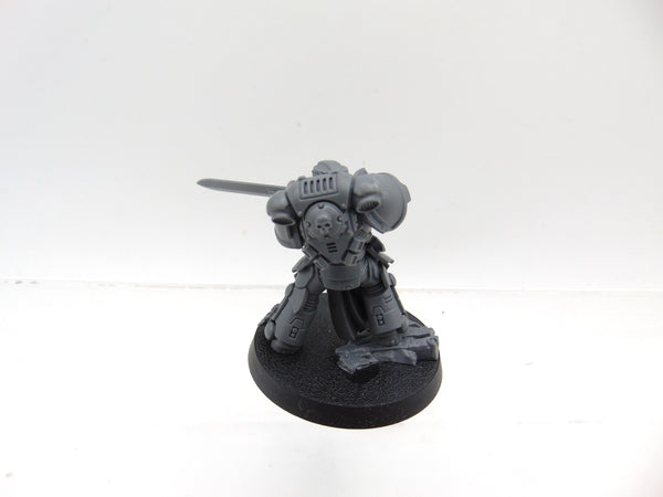 Primaris Company Champion