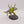 Chaos Spawn