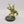 Chaos Spawn